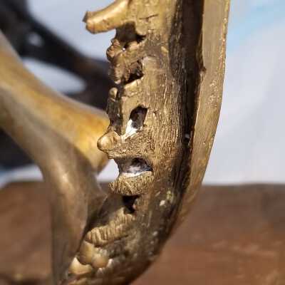 Close up of damage: Heavy corrosion encrustation