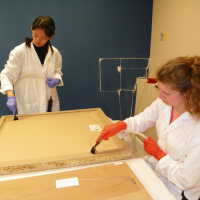 Tree Illustration - Image 12