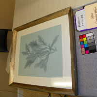 Tree Illustration - Image 13