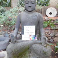          Big Buddha picture number 9
