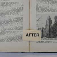          Green Street Books [Boxes: PI1, J2, G2, M1, I2, H1, F2, H2, P2, A2, R1, PA2, S1, PJI, PEE2, D2, K2, PA1, PD2, PL1, PB2, B1, PM1 C1, C2-2, K1, PH2, PL2, L1, Q1, PCC1, B2, G1, PEE1, PB1, PM2] picture number 162
