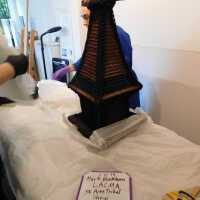          Textile and Tribal Arts Show Rehousing Project picture number 229
