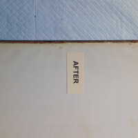          Family Bible picture number 116
