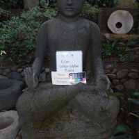          Big Buddha picture number 10
