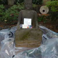          Big Buddha picture number 12

