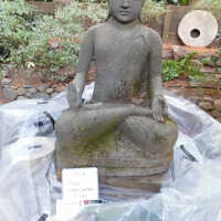          Big Buddha picture number 15
