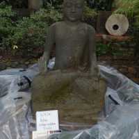          Big Buddha picture number 16
