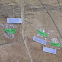          Client: Smith. Item: Japanese Embroidery with Cranes picture number 131
