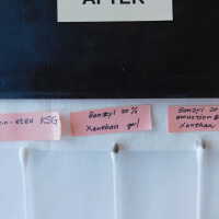 “The Optimist” - Image 130