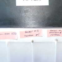 “The Optimist” - Image 131