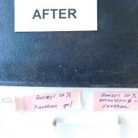 “The Optimist” - Image 132