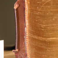          Family Bible picture number 59
