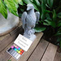          Lead Eagle (facing right) picture number 3

