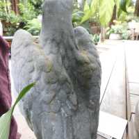          Lead Eagle (facing right) picture number 5
