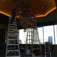          Golden Room picture number 361
