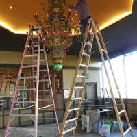          Golden Room picture number 366
