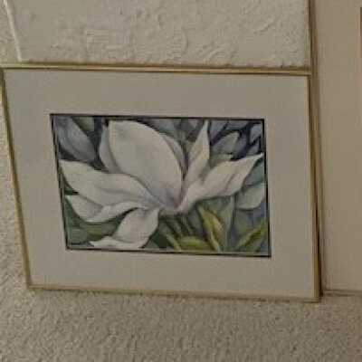 Magnolia