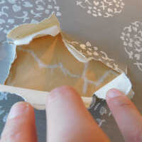          Japanese Screen picture number 39
