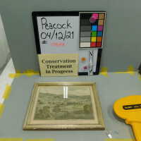          Williams College picture number 7
