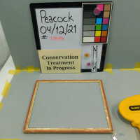          Williams College picture number 8
