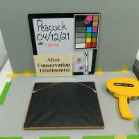          Williams College picture number 9
