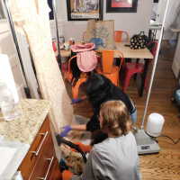          Gail picture number 21
