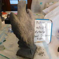         Lead Eagle (facing right) picture number 10
