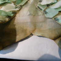          Leaf Capelet picture number 92
