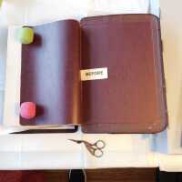          Family Bible picture number 248
