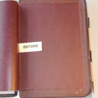          Family Bible picture number 250
