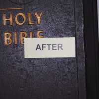          Family Bible picture number 299
