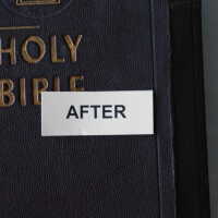          Family Bible picture number 300
