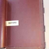          Family Bible picture number 252
