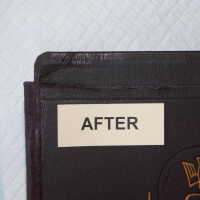          Family Bible picture number 302
