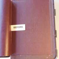          Family Bible picture number 253
