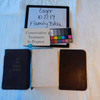          Family Bible picture number 202

