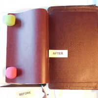          Family Bible picture number 254
