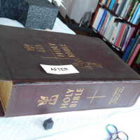          Family Bible picture number 303
