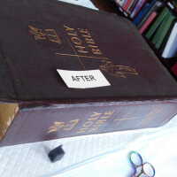          Family Bible picture number 304
