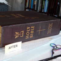          Family Bible picture number 305
