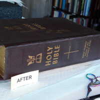          Family Bible picture number 306
