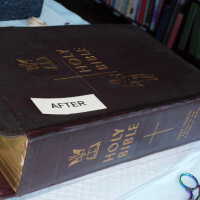          Family Bible picture number 307
