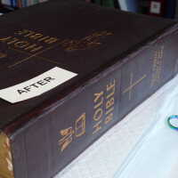         Family Bible picture number 308
