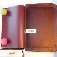          Family Bible picture number 255
