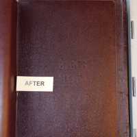          Family Bible picture number 256
