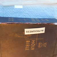          Family Bible picture number 219
