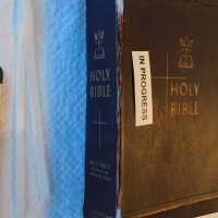          Family Bible picture number 220
