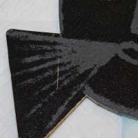          Black cat picture number 4
