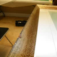 Tree illustration - Image 3