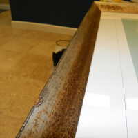 Tree illustration - Image 4